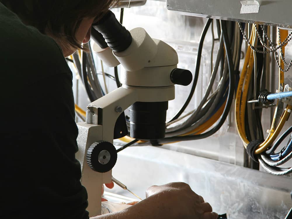 Marine biologist